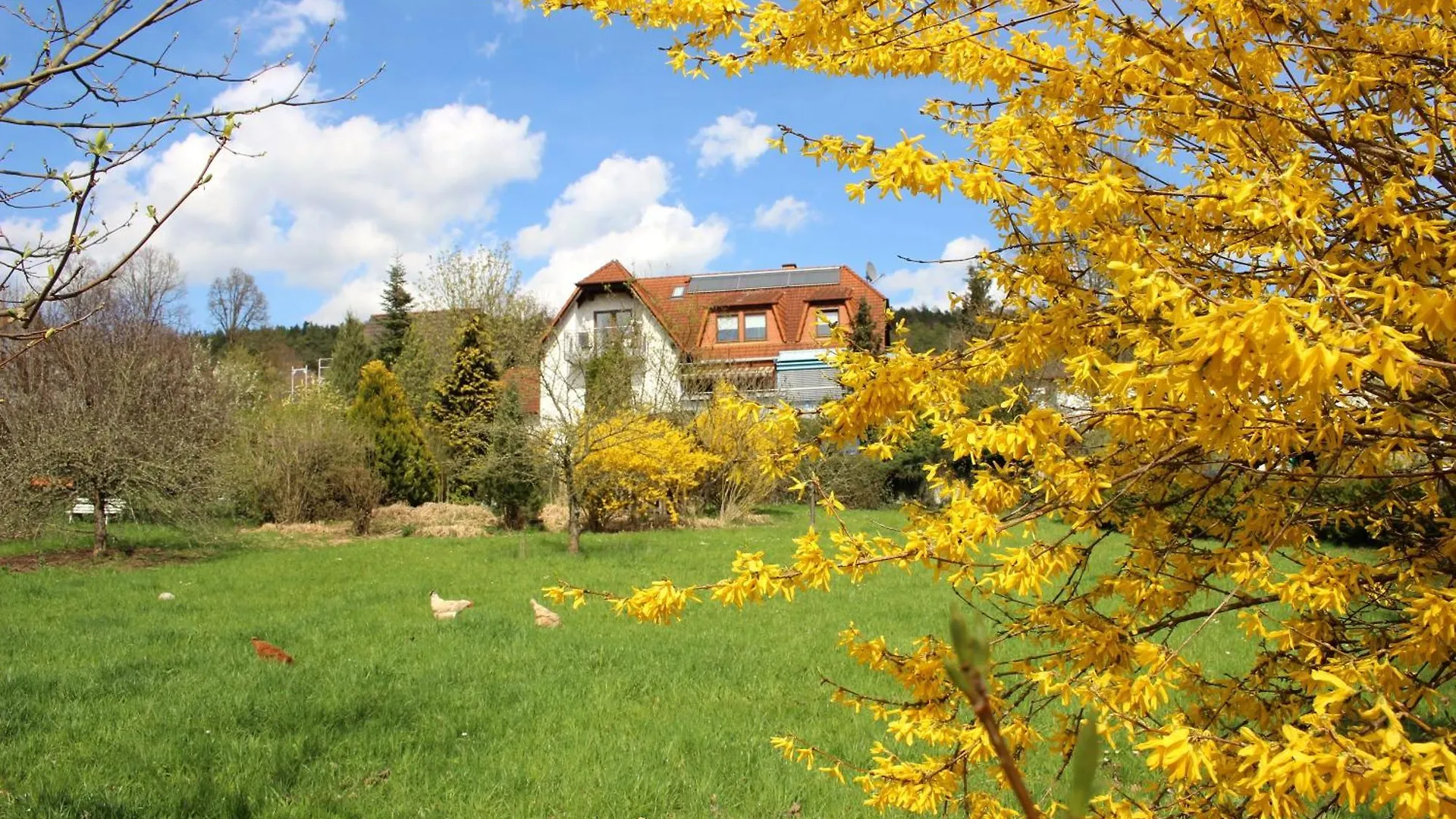 Apartment Pension Höchemer Bad Bocklet