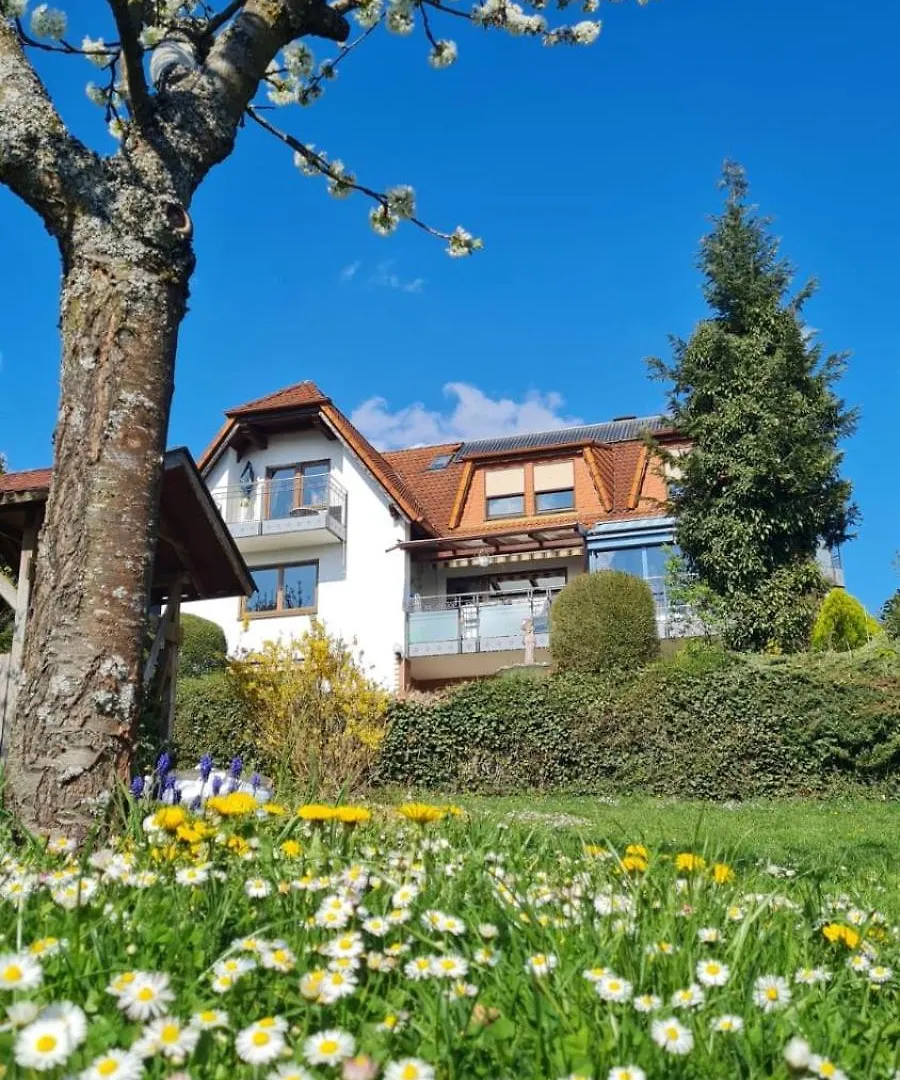 Pension Höchemer Bad Bocklet